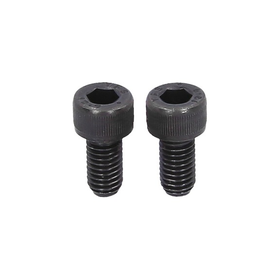 Pair of screws, M8 x 1.25, length 15 mm - Shock absorbers (motor vehicles, chassis damping)