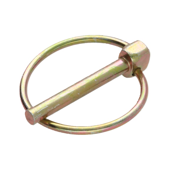 Retaining ring 160.0255-R017P - Retaining ring