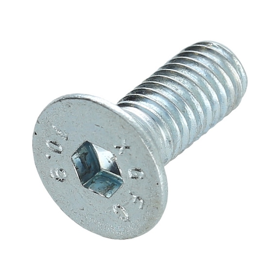 Screw 160.1000-R031P - Car jack - Screws