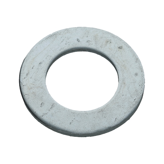 Washer 160.1025-R003P - Washer