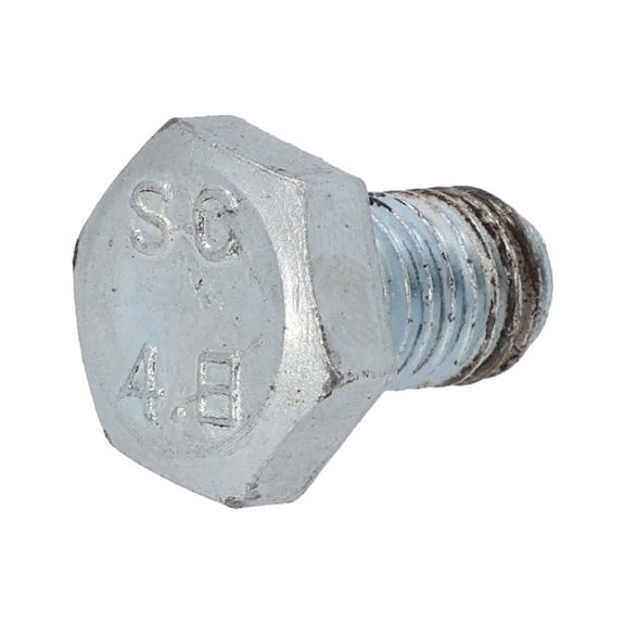 Screw M10x16 160.1065-R013P - Car jack - Screws