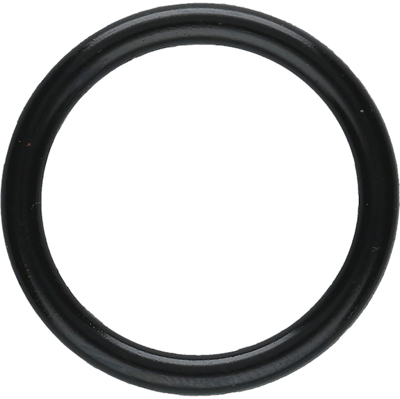 O-ring 160.1110-R006P - O-ring