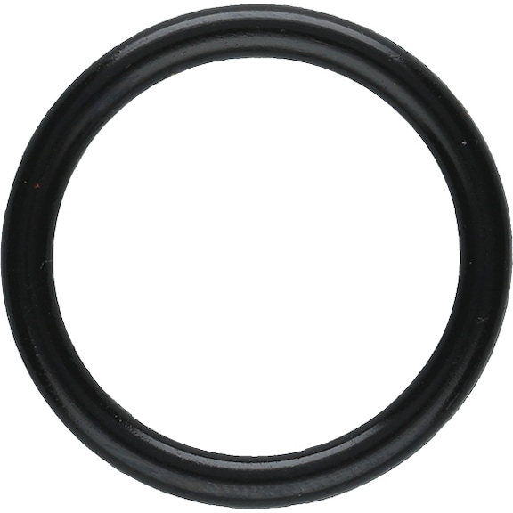 O-ring 160.1110-R018P - O-ring