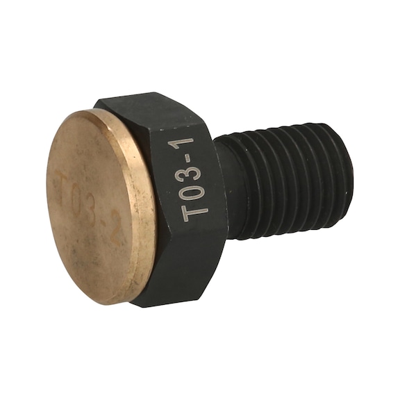 Screw with impact cap - Screw, nut (other)