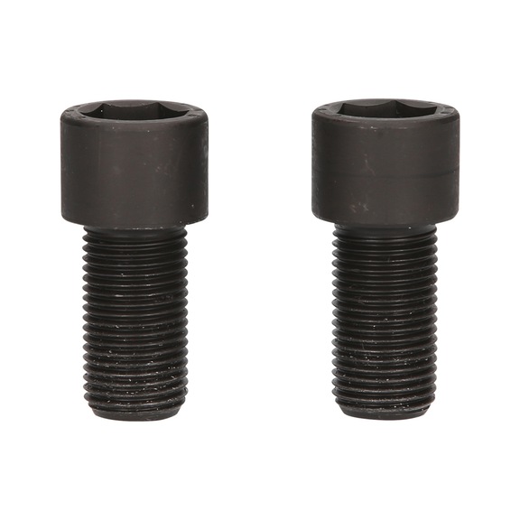 Fastening screws, short, M16x1.5, length 46 mm, pack of 2 - Cylinder head (automotive, assembly, other)