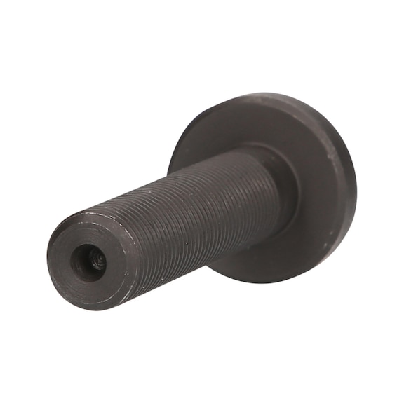 Drive screw, M14x1.5 460.4334 - Screw, nut (other)