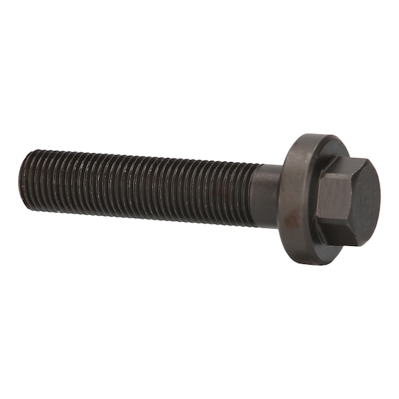 Drive screw, M14x1.5 460.4534 - Screw, nut (other)