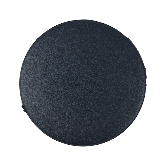 Geh&auml;useverschlussplatte 515.1185-R024P - Housing