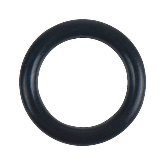 O-ring 515.3063-R006P - O-ring