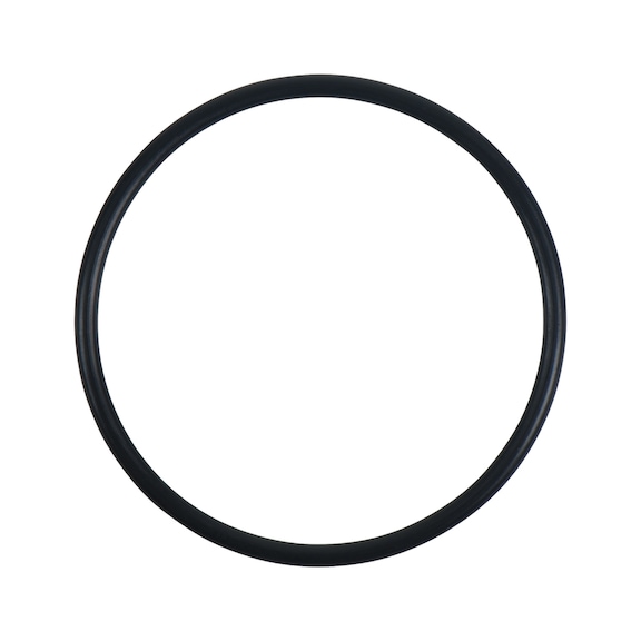 O-ring 515.3063-R021P - O-ring