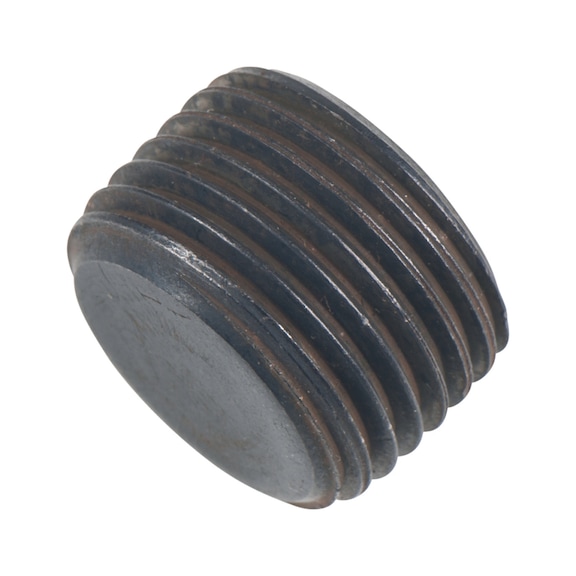 Sealing screw 1/2 inch - Screw, nut (other)