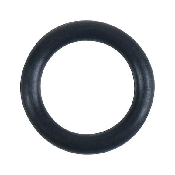 O-ring P9 - O-ring