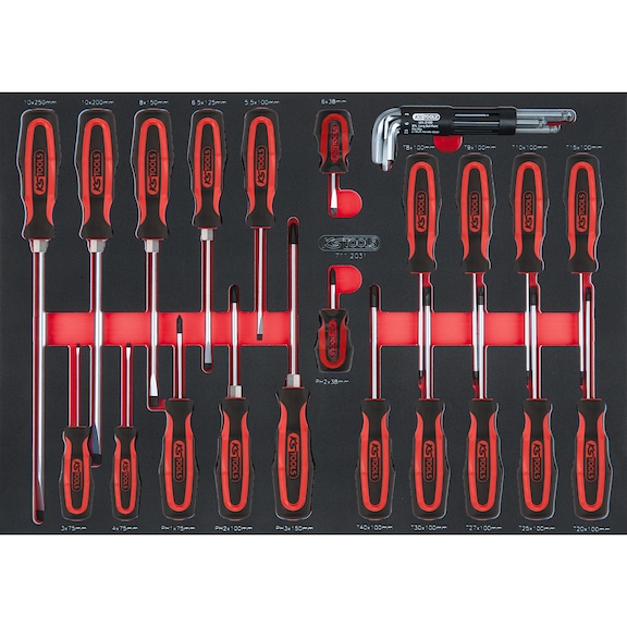 SCS screwdriver set, 29 pieces in 1/1 system insert - Screwdriver set