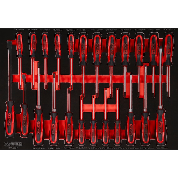 Screwdriver set in foam insert, 24-piece 811.0024 - Screwdriver set in foam insert