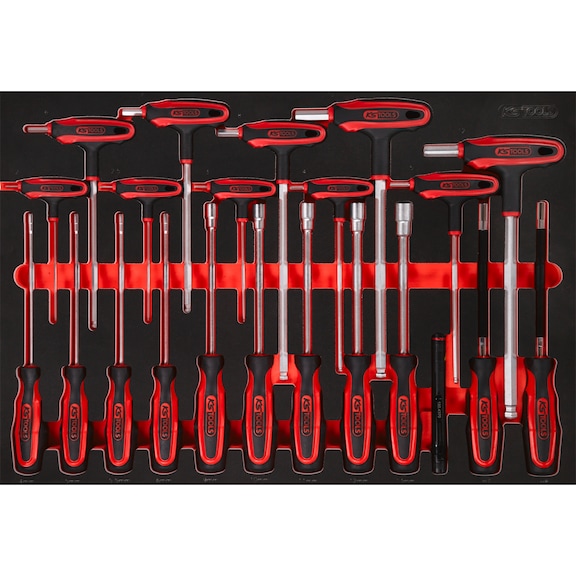 T-handle and screwdriver set in foam insert, 22 pieces - Screwdriver set