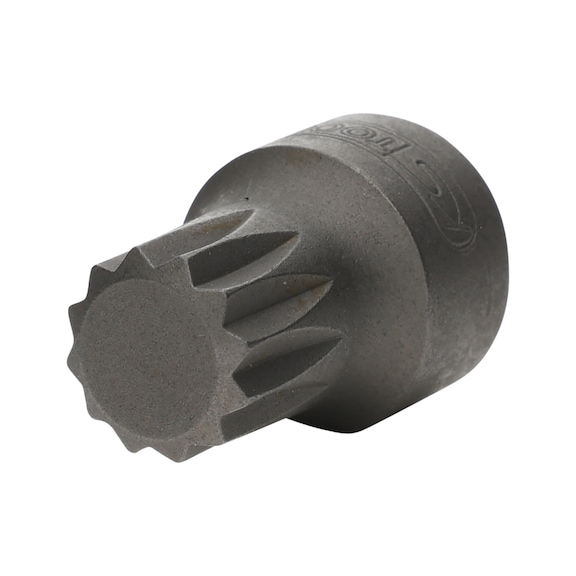 1/4 inch bit socket XZN, M10, extra short - 1/4 inch bit socket XZN
