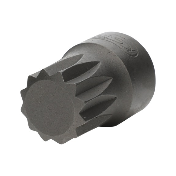 1/4 inch bit socket XZN, M12, extra short - 1/4 inch bit socket XZN