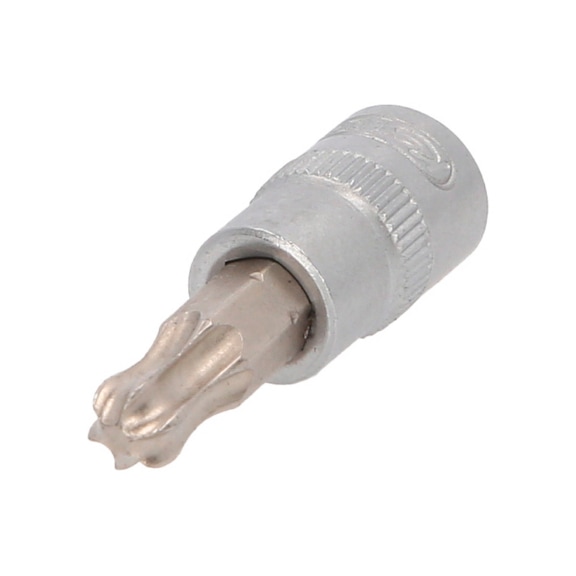 1/4 inch bit socket for TX screws with ball head, T40 - 1/4 inch socket bit for Torx screws with ball head