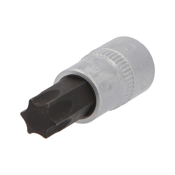 3/8 inch TX socket bit, T55 on hanger - 3/8 inch Torx bit socket