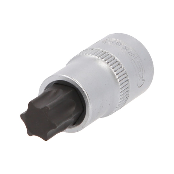 1/2 inch TX socket bit, short, T60 - 1/2 inch Torx bit socket