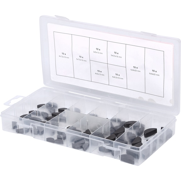 Assortment of spring wedges, 80 pieces - Hand tool assortment, hand tool set (other)