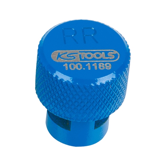 TPMS tyre deflator, blue, rear right - Wheel, tyre (motor vehicle, other)