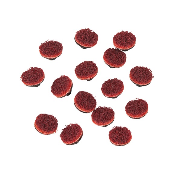 Cleaning disc set, 15 pieces - Lubrication device (oil, parts)