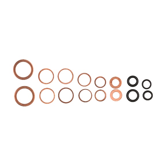 Replacement sealing ring package, 20 pieces - Fuel system (automotive, assembly, other)