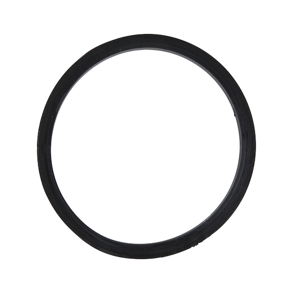 Sealing ring (between container and head) - Fuel system (automotive, assembly, other)