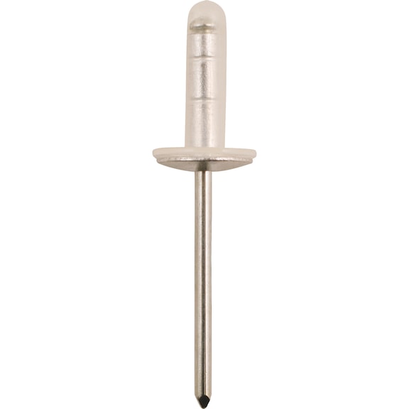 Sealing rivet with 12.1 mm flange for Toyota, pack of 50 - Mounting clip for Toyota/Lexus