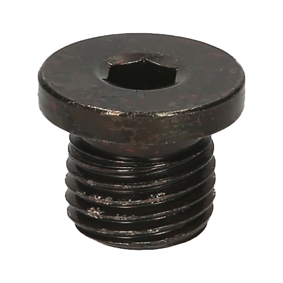 Oil drain plug, hexagon socket 6 mm, M14x1.5x9 mm, pack of 1 - Oil drain plugs