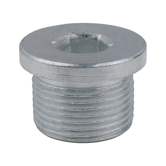 Oil drain plug, hexagon socket 10 mm, M22x1.5x13.5 mm, pack of 25 - Oil drain plugs