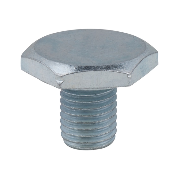 Oil drain plug, external hexagon 21 mm, M10x1.25x13 mm, pack of 1 - Oil drain plugs