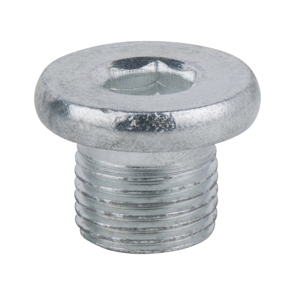 Oil drain plug, hexagon socket 8 mm, M14x1.25x12 mm, pack of 10 - Oil drain plugs