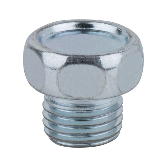 Oil drain plug, external hexagon 19 mm, M14x1.5x10 mm, pack of 25 - Oil drain plugs