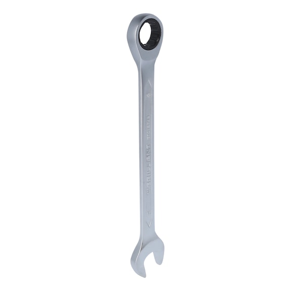 Ratchet ring spanner, 19 mm - Ratchet ring spanner