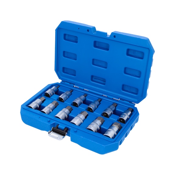 1/2 inch hexagon socket bit socket set, 12 pieces, 5 - 22 mm - Socket wrench (set)