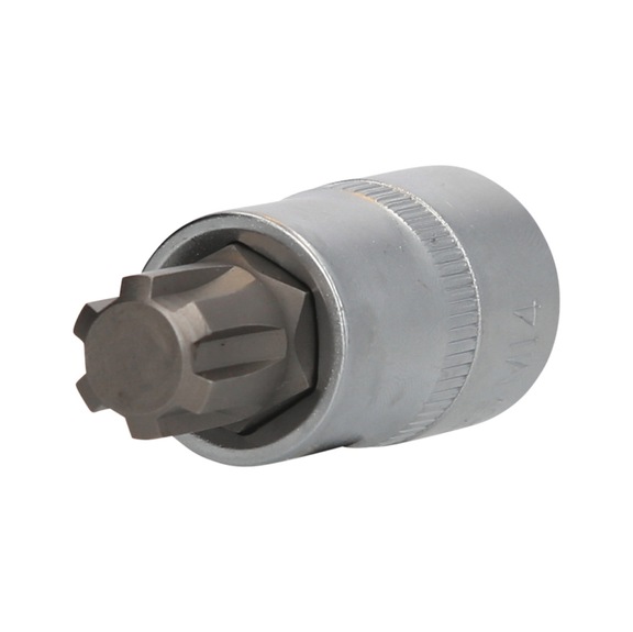 1/2 inch RIBE socket bit, 55 mm long, M14 - 1/2 inch RIBE bit socket