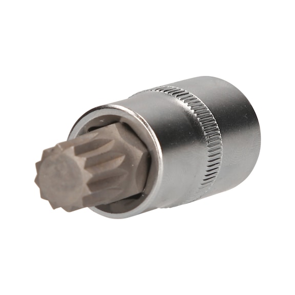 1/2 inch multi-tooth socket, 55 mm long, M14 - 1/2 inch multi-tooth bit socket