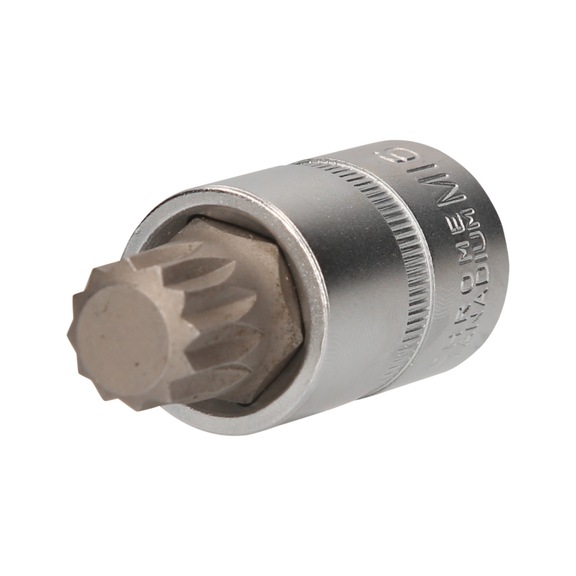 1/2 inch multi-tooth socket, 55 mm long, M16 - 1/2 inch multi-tooth bit socket