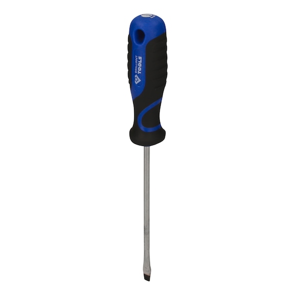 Slotted screwdriver, 1.0 x 5.5 mm BT030904 - Slotted screwdriver