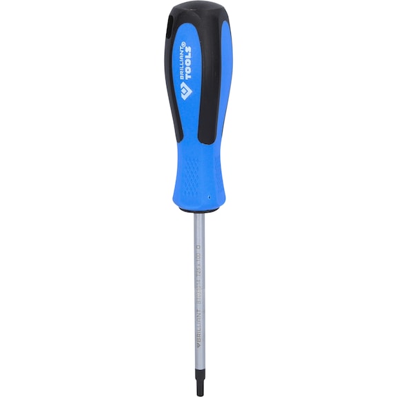 TX screwdriver, T25 x 100 mm - Screwdriver TX