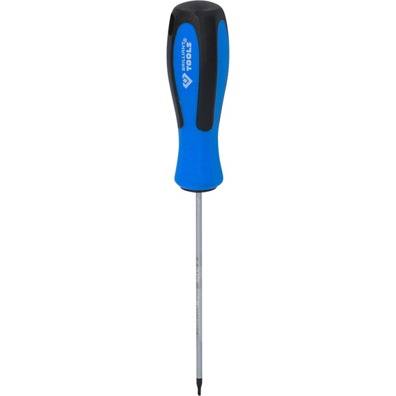 TX screwdriver, T6 x 100 mm - Screwdriver TX