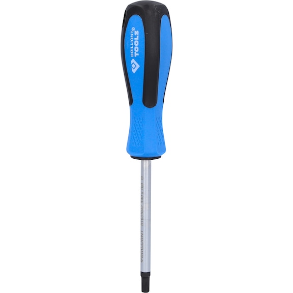 TX screwdriver, T40 x 100 mm - Screwdriver TX