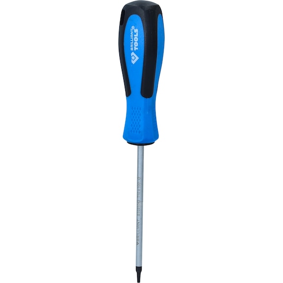 TX screwdriver, T10 x 100 mm - Screwdriver TX