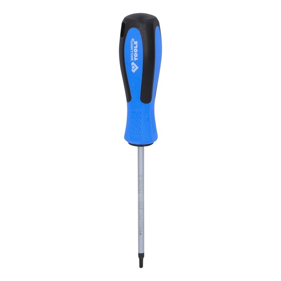 TX screwdriver, T15 x 100 mm - Screwdriver TX