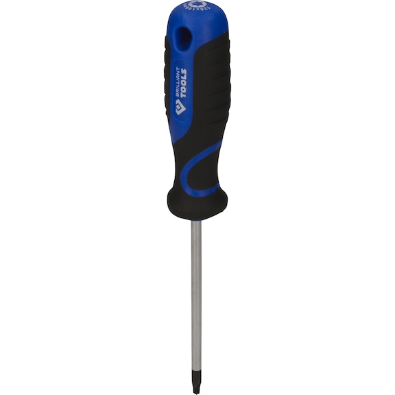 TX screwdriver, T20 - Screwdriver TX