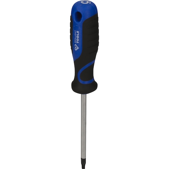 TX screwdriver, T25 - Screwdriver TX