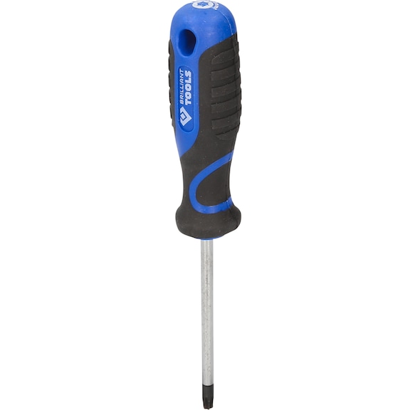 TX screwdriver, T30 - Screwdriver TX