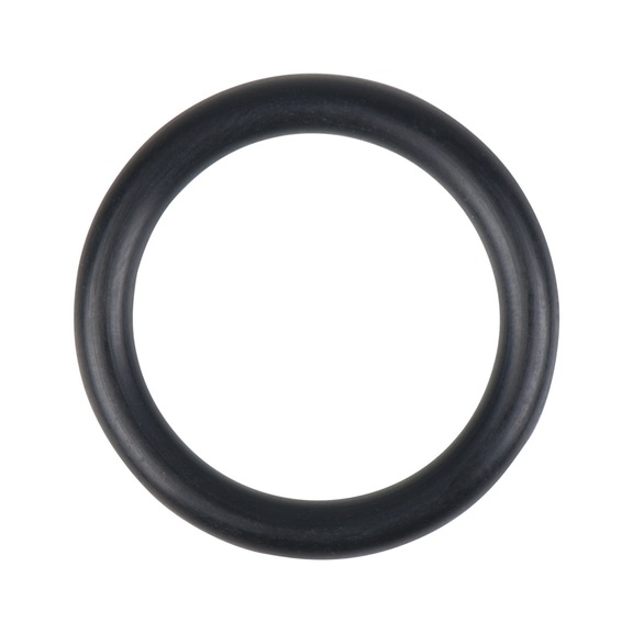 O-ring for pump valve - O-ring